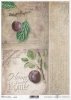 Frutas de decoupage de papel, ciruelas*Бумажные декупажи фруктов, слив*Papier decoupage Früchte, Pflaumen